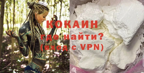 твердый Арсеньев