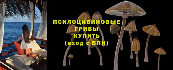 твердый Арсеньев