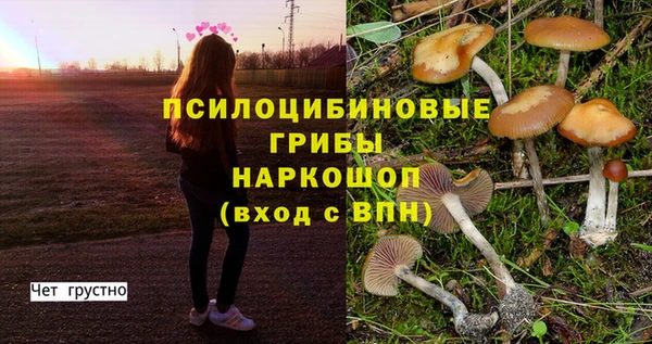 2c-b Армянск