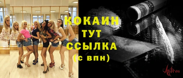 твердый Арсеньев