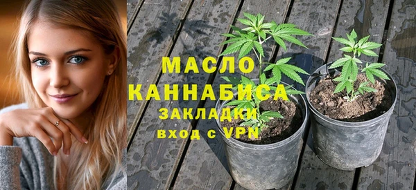 твердый Арсеньев